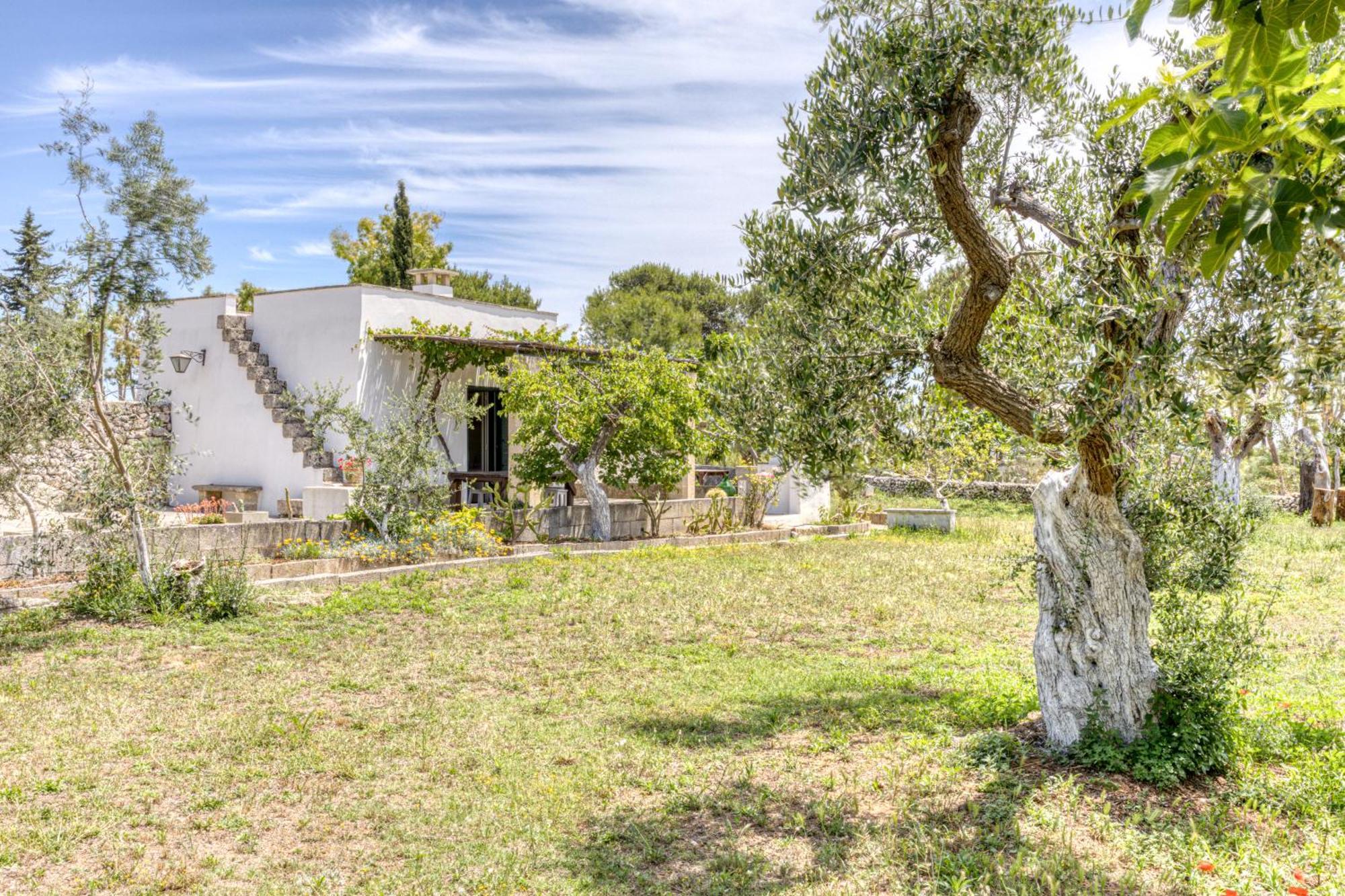 Biomasseria Santa Lucia Alessano Buitenkant foto